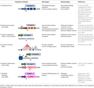 Targeted Gene Delivery: Where to Land